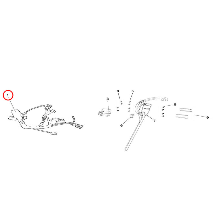 LB Youth - Main Wiring Loom & Ancillary Items