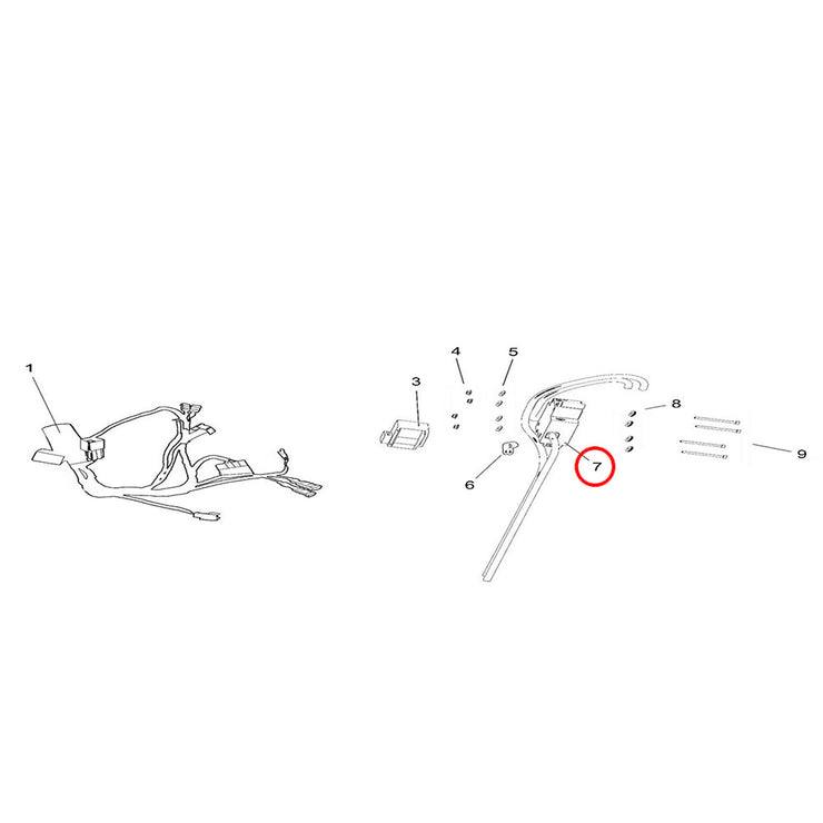 LB Youth - Main Wiring Loom & Ancillary Items