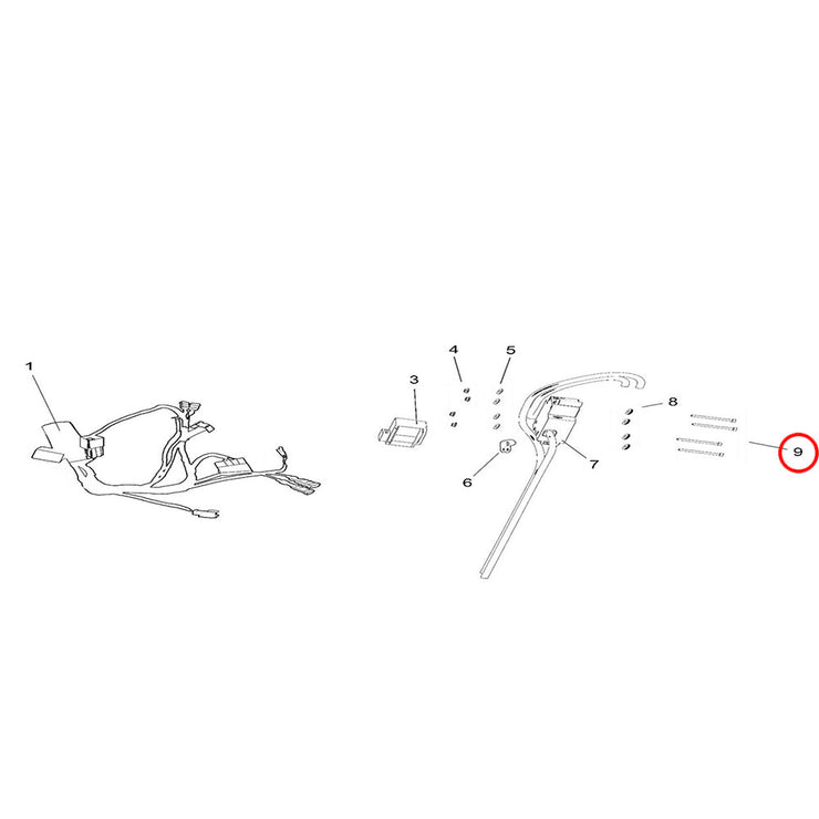 LB Youth - Main Wiring Loom & Ancillary Items