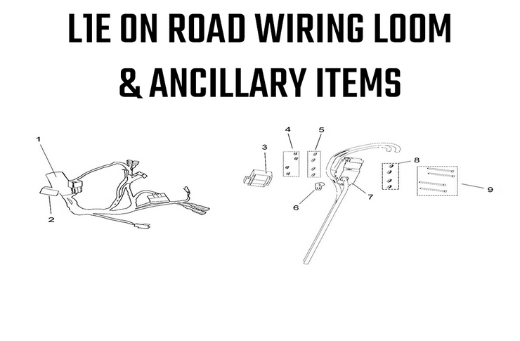 L1E Road Legal - Main Wiring Loom & Ancillary Items