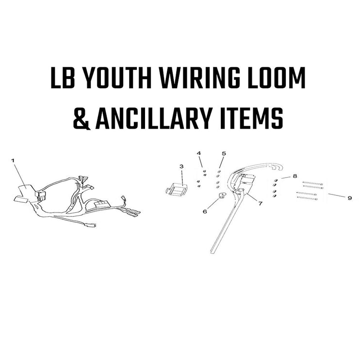 LB Youth - Main Wiring Loom & Ancillary Items